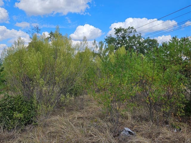 104 N Highway 183 TRL