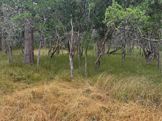 109 Hauula Ct
