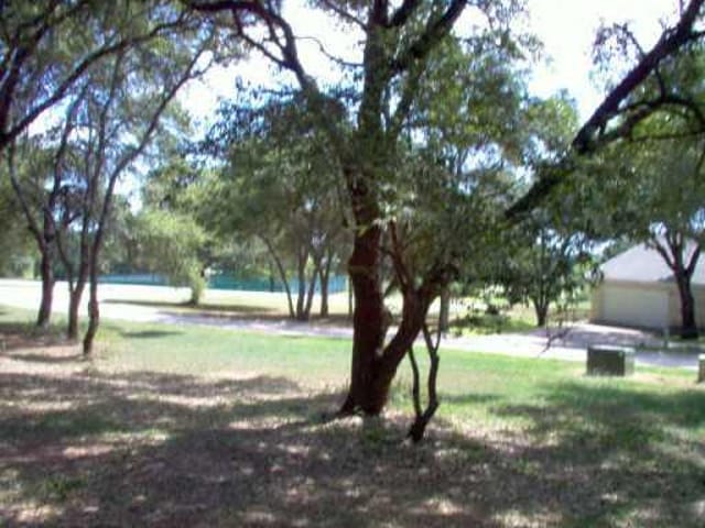 110 Mountain Laurel