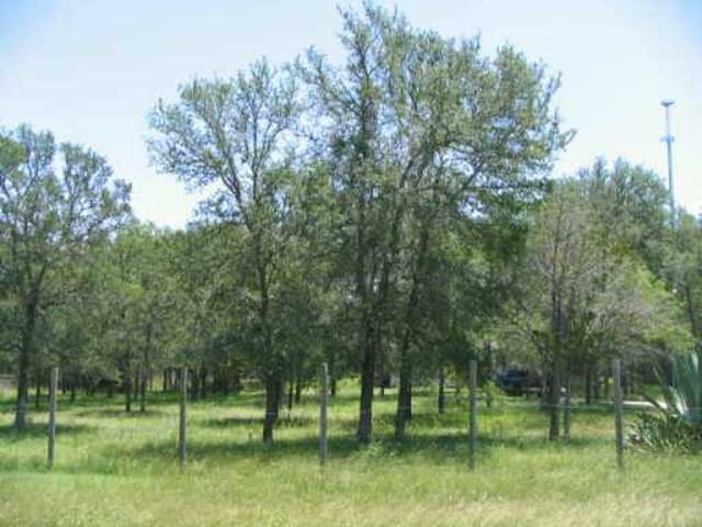111 Oak Forest CT