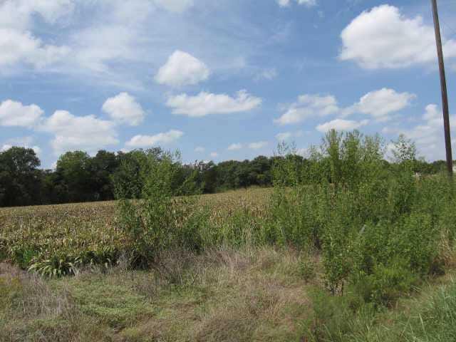 1123 County Road 156