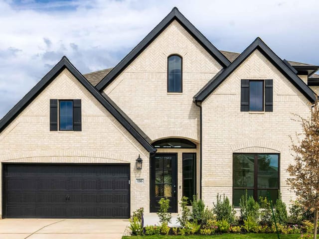 116  Carnation Cv