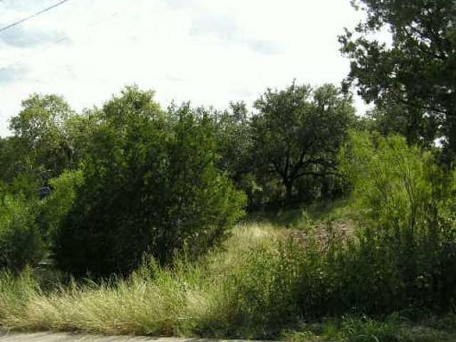 13803 Wild Turkey PASS