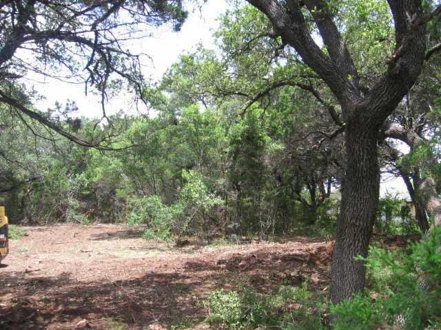 13914 Wild Turkey PASS