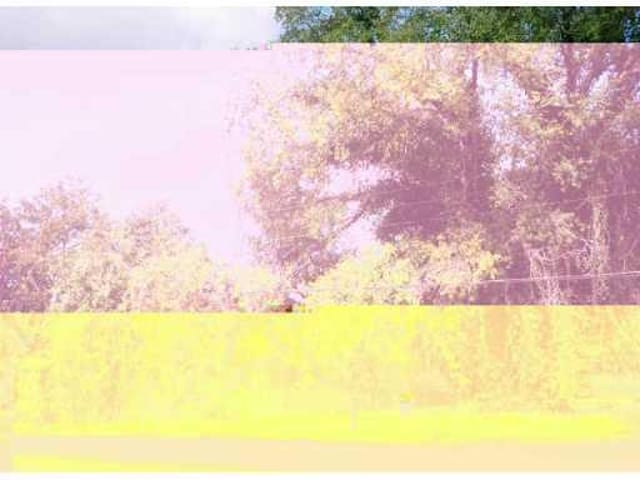 1404 Pine