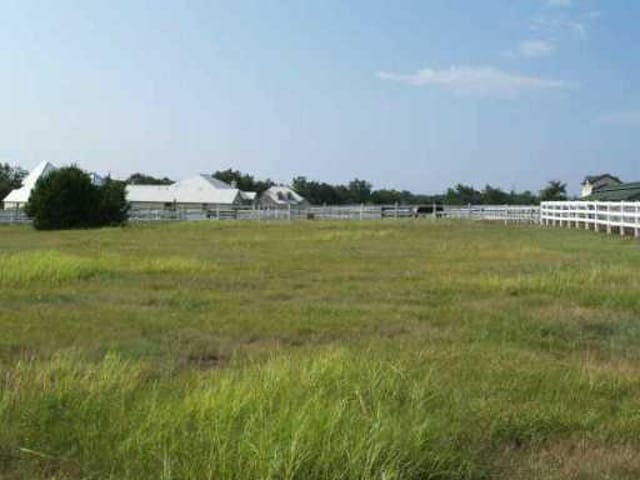 151 Unbridled