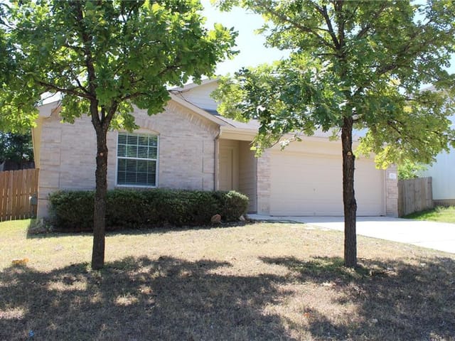 172 Dandelion LOOP