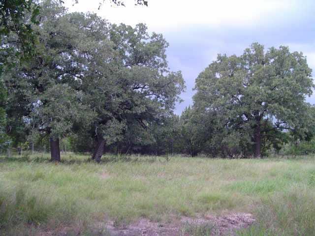 173 Gabriels LOOP
