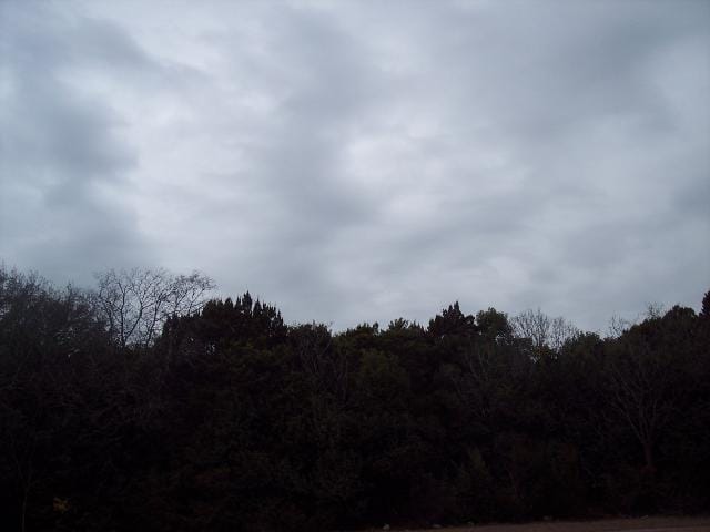 18202 Cedar