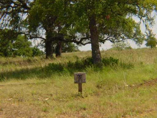 200 Bird Stone