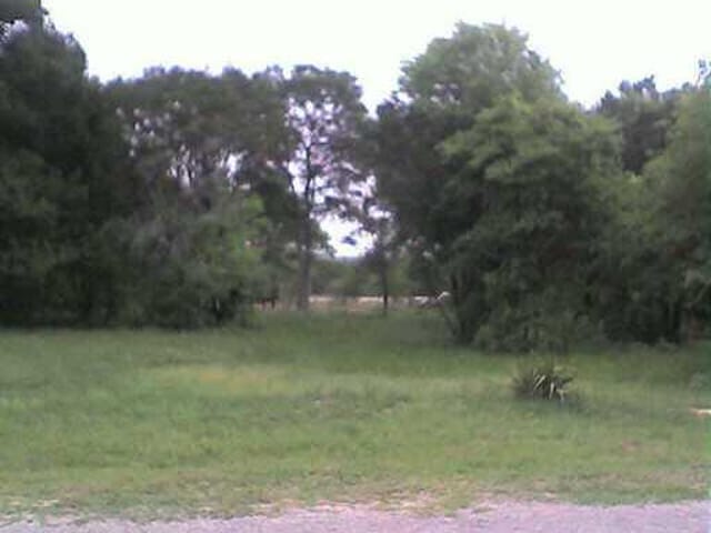 203 Flamingo DR