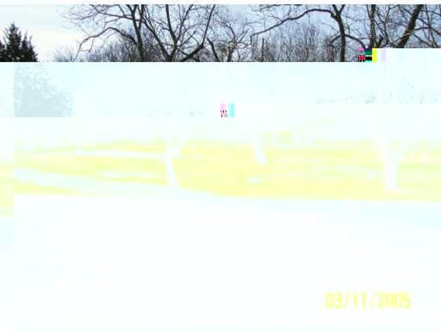 203 Pecan ST