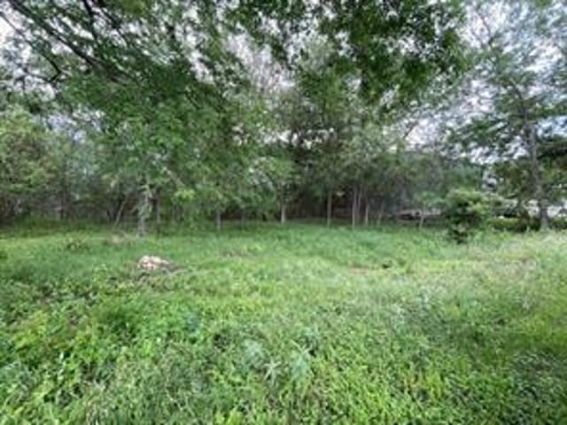 204 Crest Dr