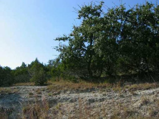 21004 Nocona CV