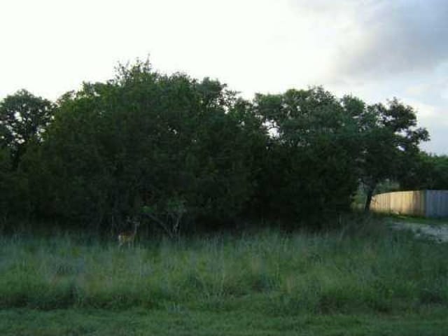 21004 Nocona