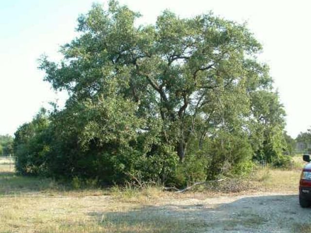 221 Rural Space RD