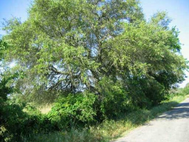 255 CO RD 205