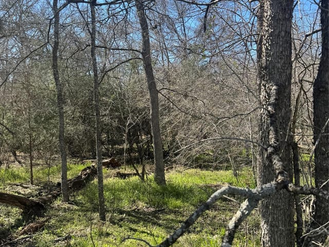 289 Iva Ln