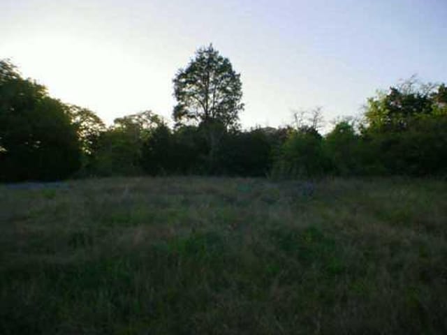 308 Webberwood Way