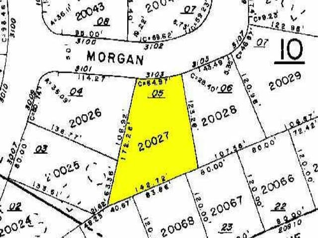 3103 Morgan LN