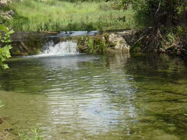 35 acres Beauchamp RD