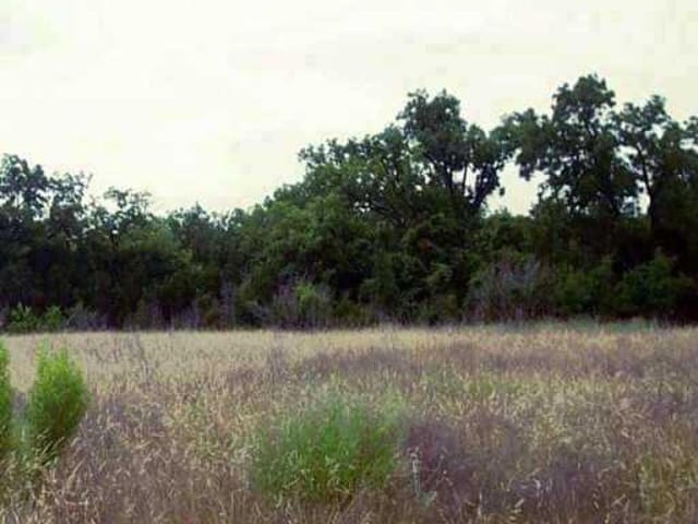 3509 County Road 200