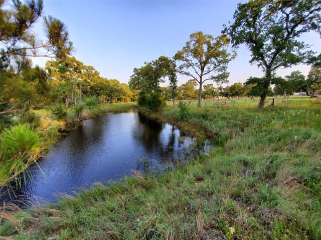 399 Leisure LN