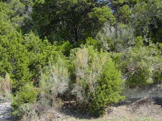 401 Springwood RD