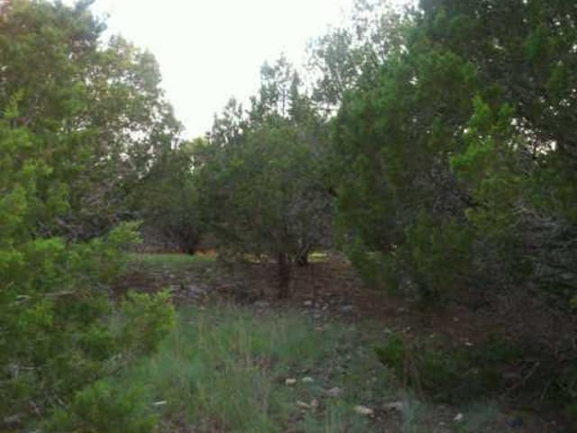 4520 Silverhill DR