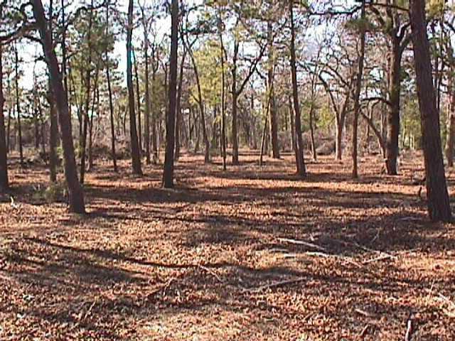 492 S Old Potato RD