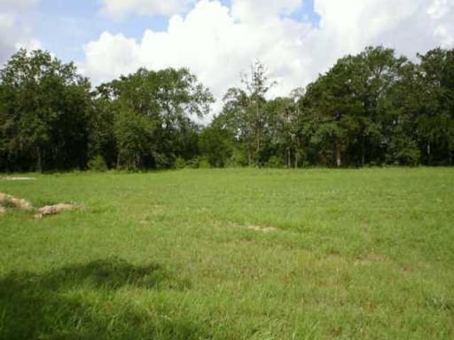671 Shiloh