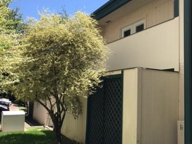 6718 Silvermine Dr Unit #302