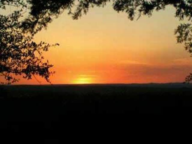 700 Madrone Ranch, Lot 29