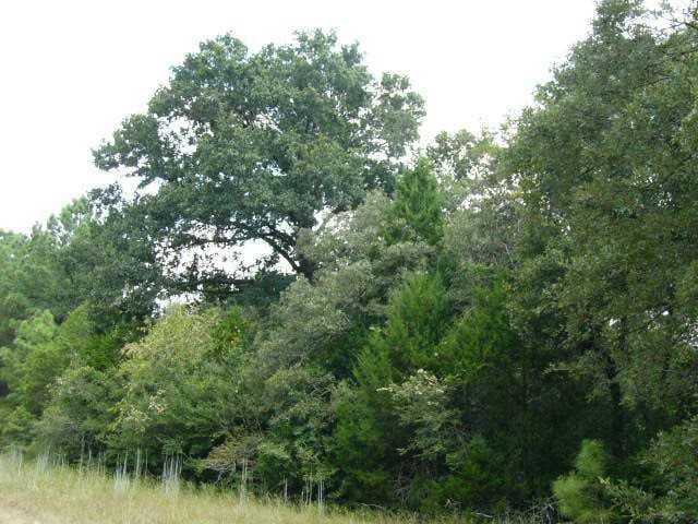 716 Paint Creek South RD