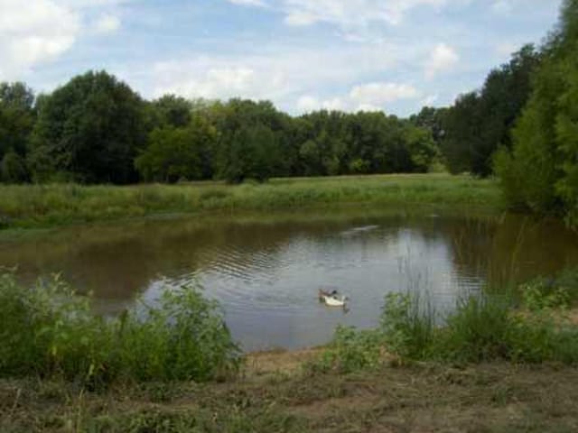 732 Old Pin Oak RD