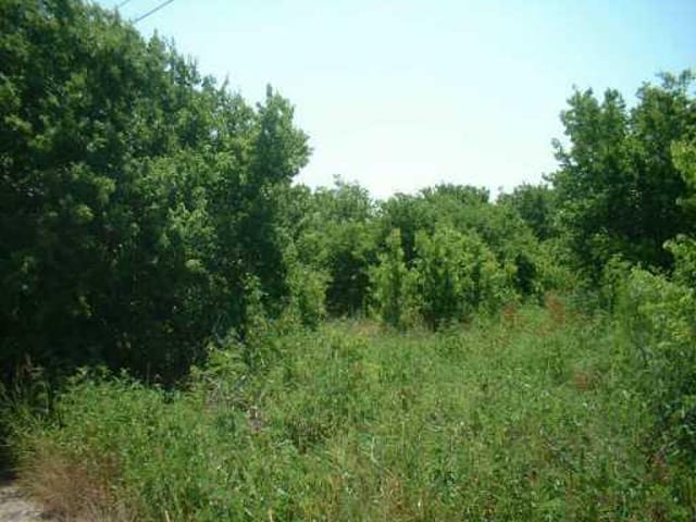 800 Lilac WAY