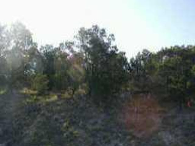 8333 La Plata LOOP