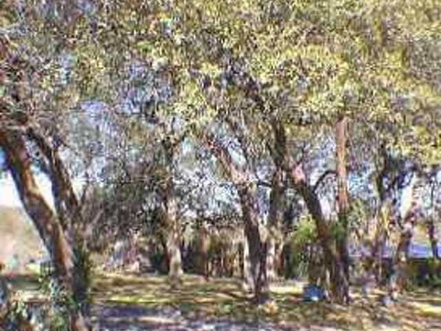 8815 High Valley RD