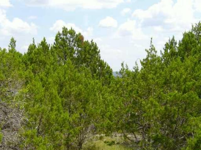 8900 Eagle PASS
