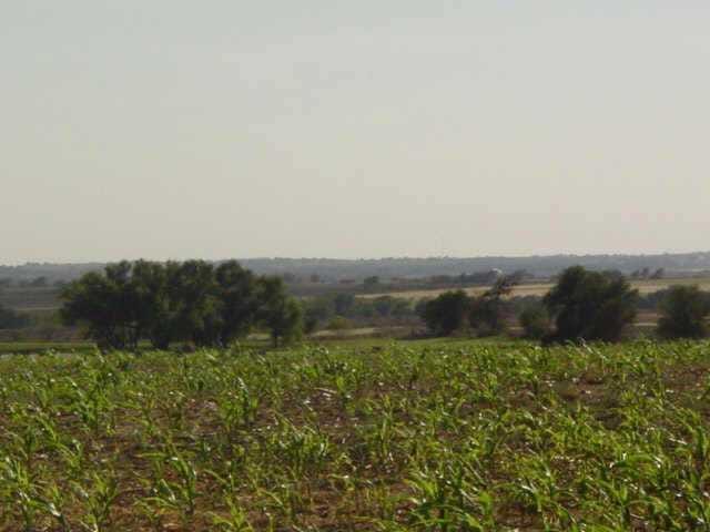 9800 FM 971