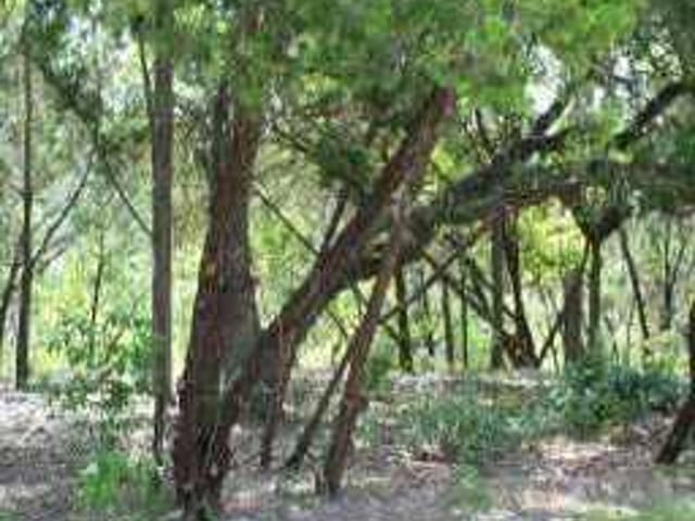 L-1347 Broken Bow TRL