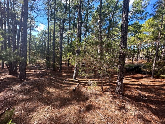 Lot 11 Hickory Ridge Dr