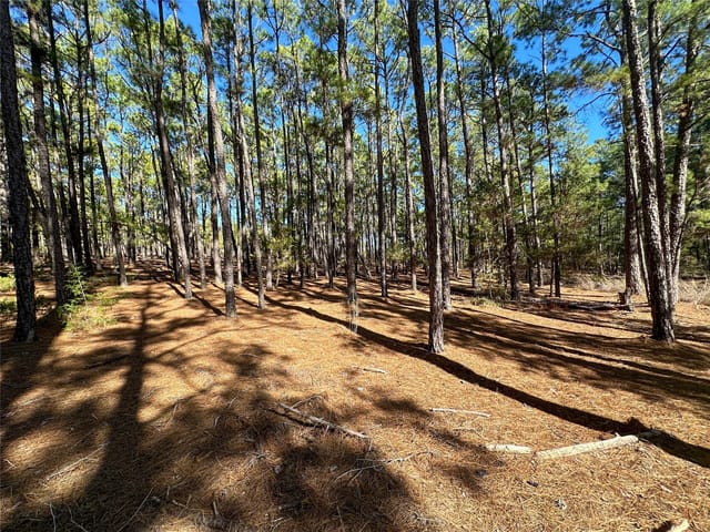 Lot 12 Hickory Ridge Dr