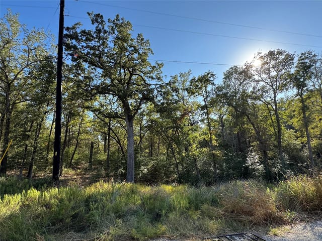 Lot 130 Wailupe Cir