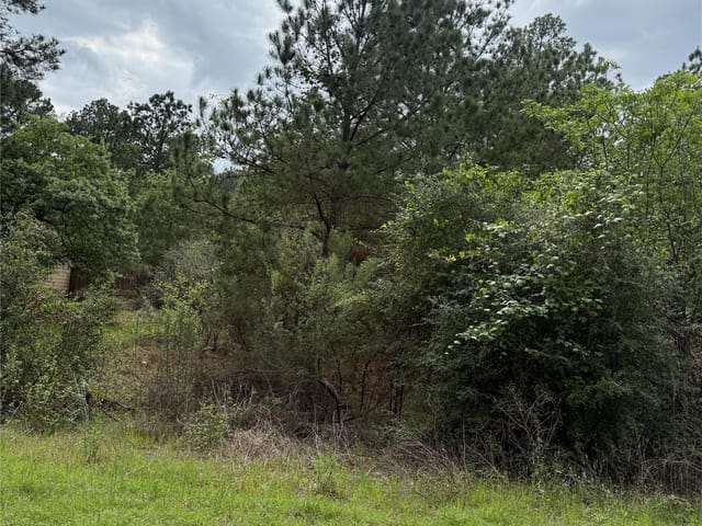 Lot 1360 N Kuapo Dr