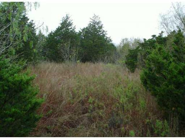 LOT 15 SOUTH RIDGE DR