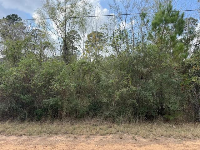 Lot 233 MAKAHA Dr