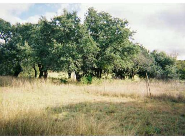 LOT 41 CO RD 257