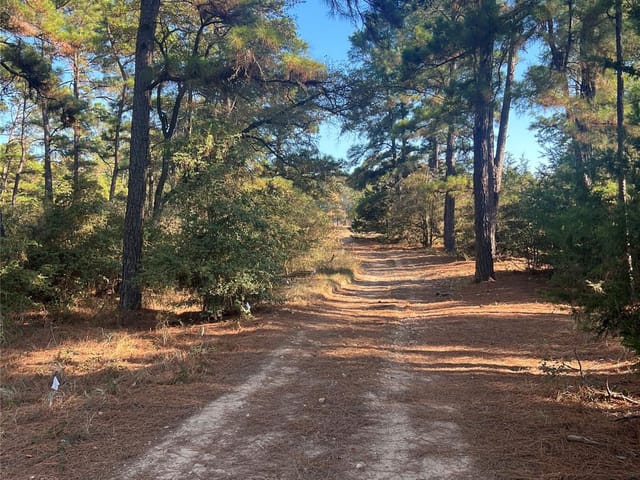 Lot 43 Pine Lodge Dr