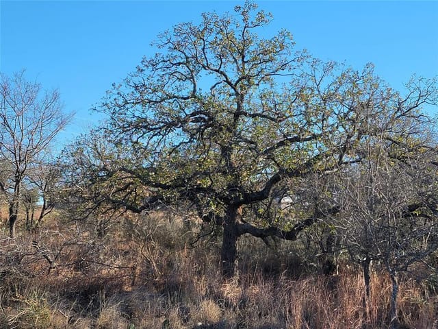 Lot 434-435 Rockcrest Dr